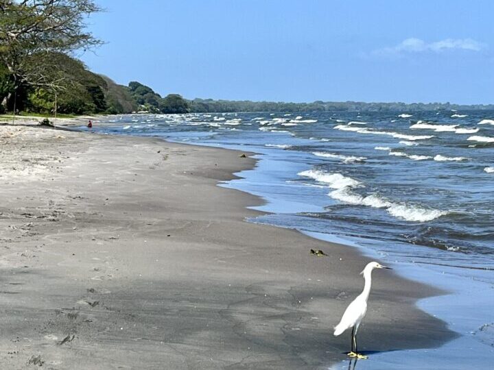 Stroll the Beach Isla Ometepe Nicargua Things to do Travel Tips and Travel Inspirations Blog