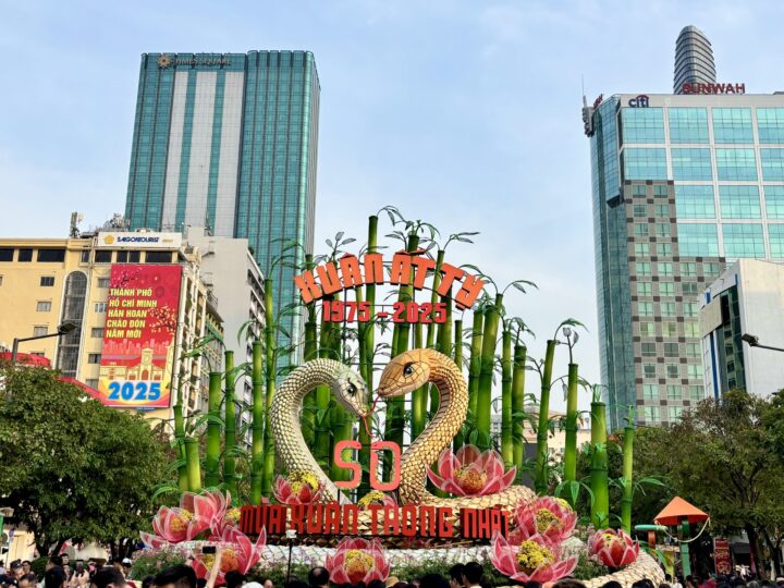Year of the snake Travel Blog TET Vietnam Asia