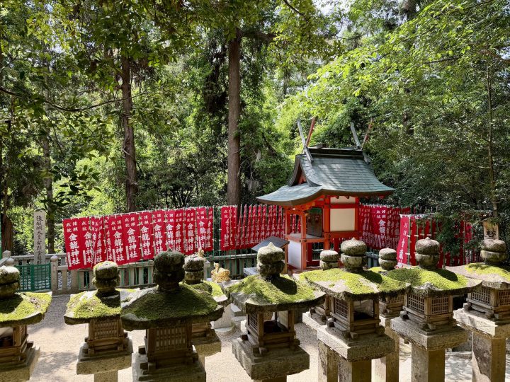 Around Kasuga Taisha shrine area in Nara, Japan
