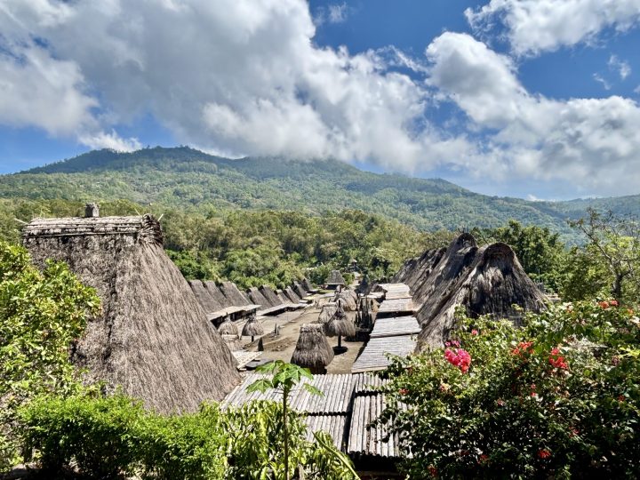View over Bena Traditional Village from the back