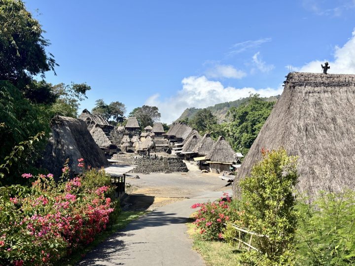 Entrance view of Bena Traditional Village near Bajawa
