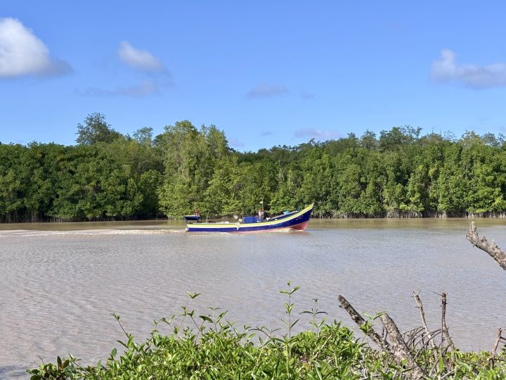 Boat on the river near Nickerie Suriname
