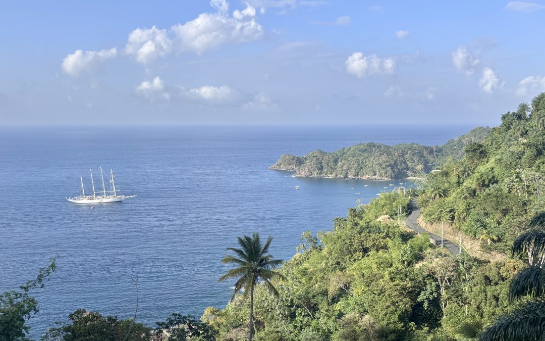 Where to Stay in Tobago: Why I Loved Castara!