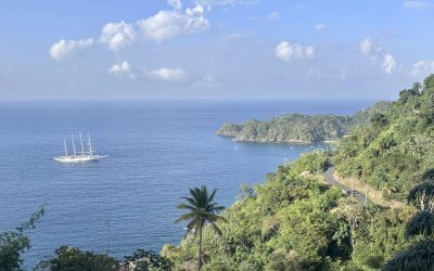 Where to Stay in Tobago: Why I Loved Castara!