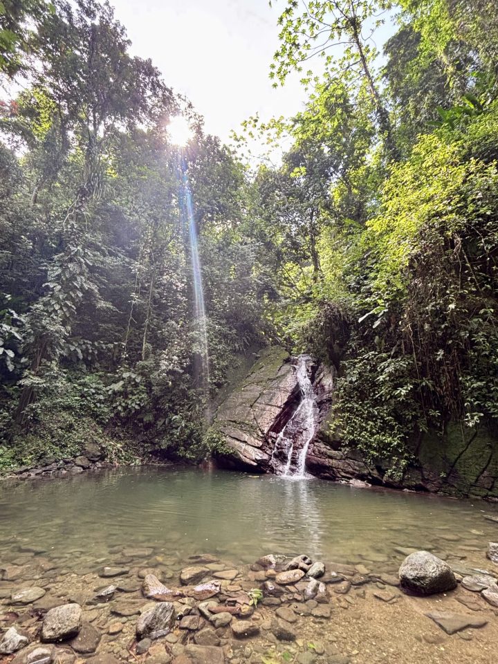 Castara Waterfall in Tobago