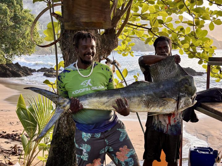 Catch of the day on the beach in Castara Tobago