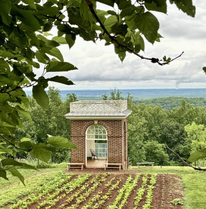 Charlottesville Monticello Estate Green Parks Washington DC City Trip Travel USA