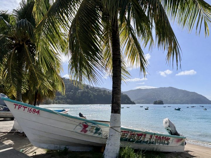 Charlotteville fishing village and pier in Tobago
