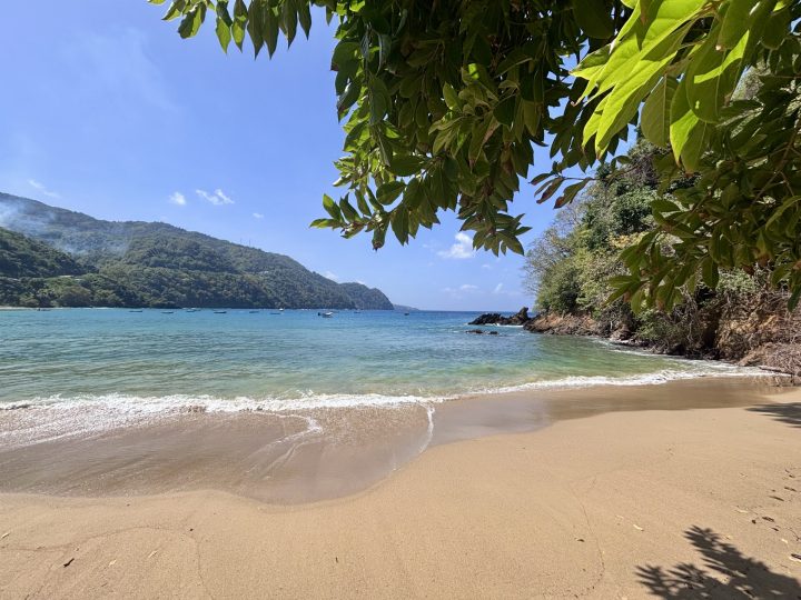 Shady spot at Little Bay in Castara Tobago