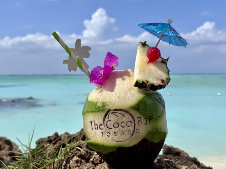 Coconut at Pigeon Point beach in Tobago
