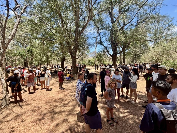 Crowds on Komodo Island during a day trip from Labuan Bajo