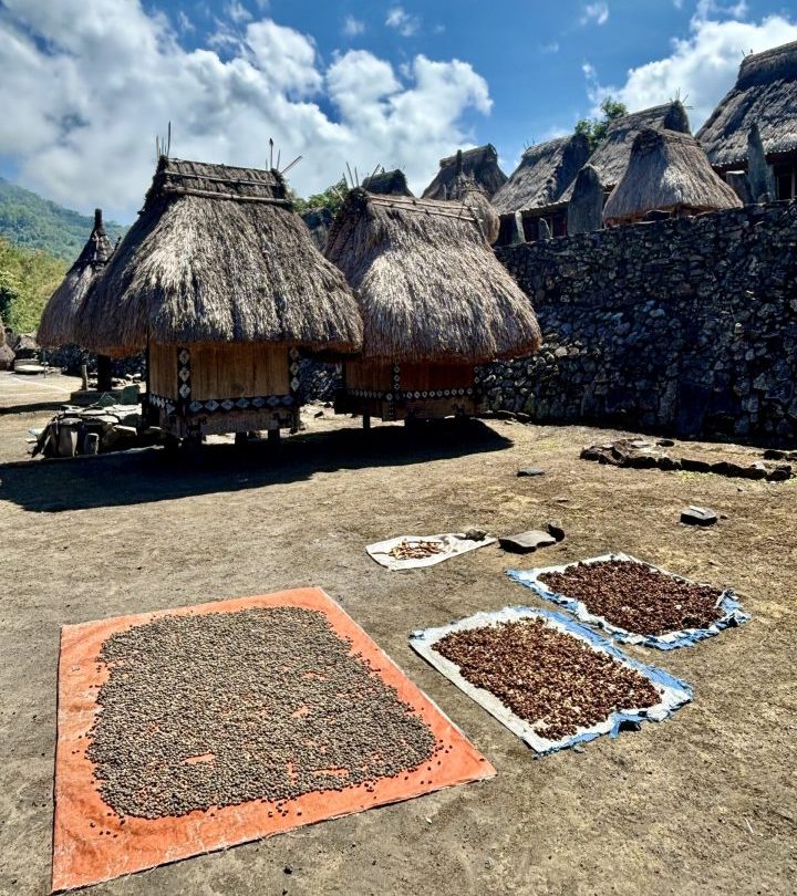 Local harvest drying in the sun in Bena Village
