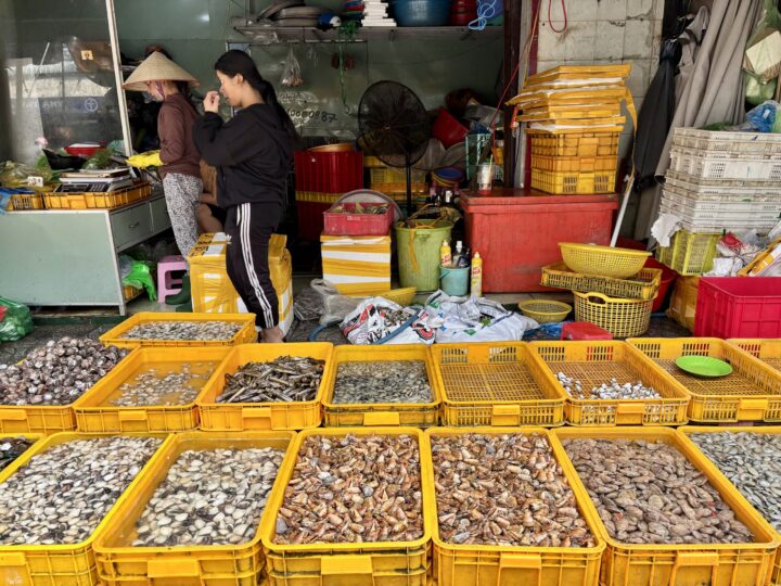 Duong Dong Fish Market Travel Blog Phu Quoc Vietnam Asia