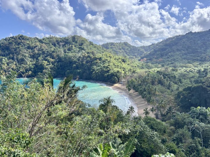Englishman’s Bay seen from above in Tobago