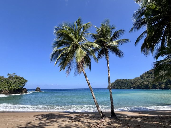 Englishman’s Bay beach and turquoise sea in Tobago