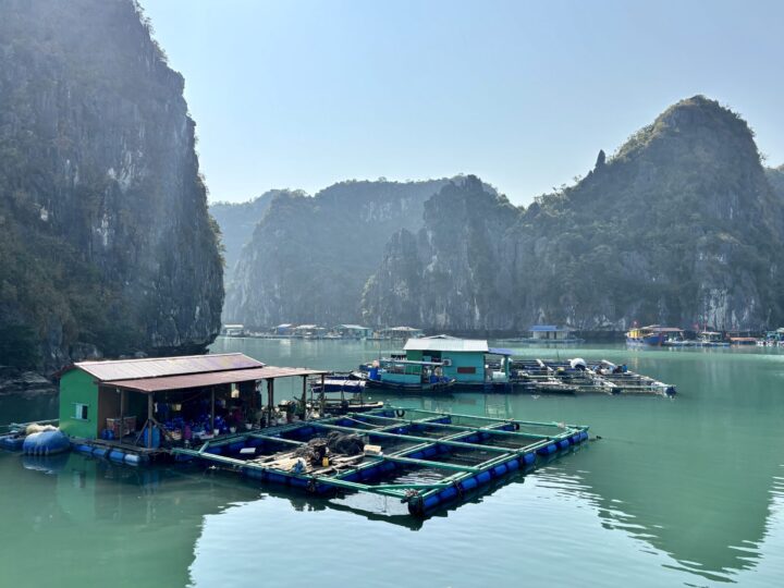 Floating Village Cat Ba Lan Ha Bay Halong Bay Travel Blog Vietnam