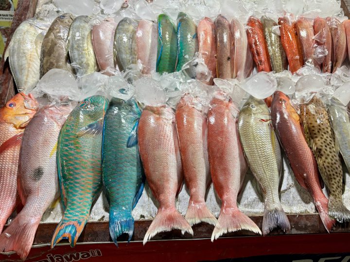Fresh fish market in Labuan Bajo Flores