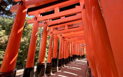 Things to See in Kyoto in 4 Days: My Best Highlights