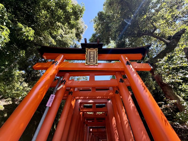 Red torii gates at the entrance of Fushimi Inari Kyoto