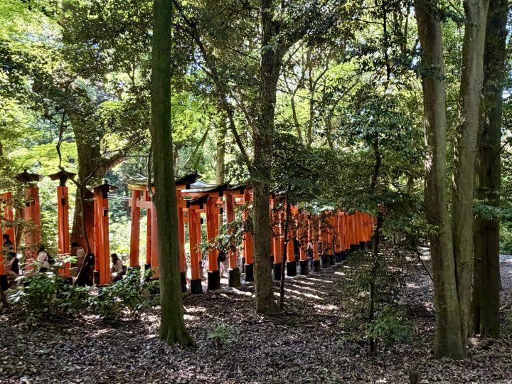 Red torii gates higher up at Fushimi Inari Shrine Kyoto