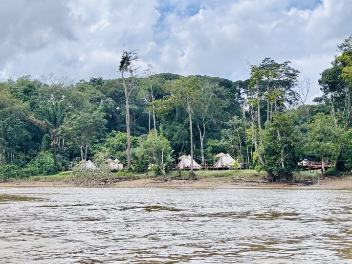 Glamping tents by the river at Seliba Suriname