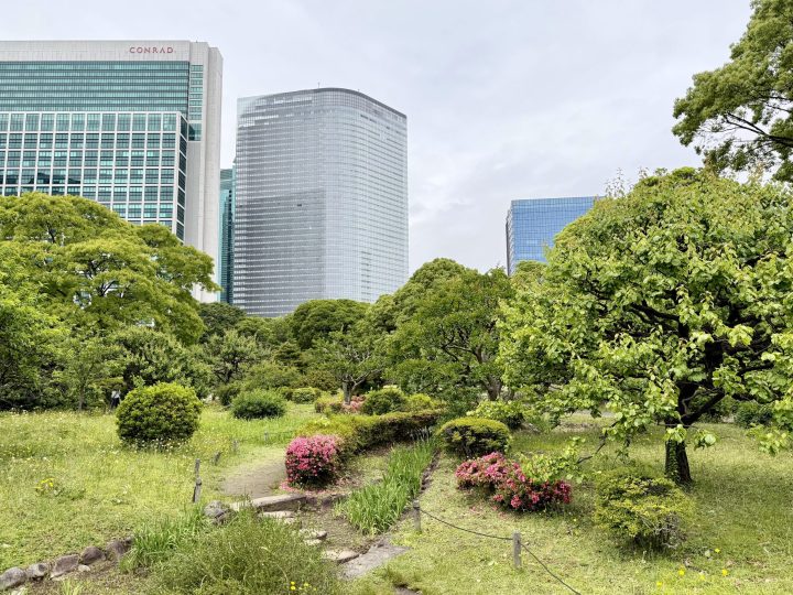 Hamarikyu Gardens with Tokyo skyscrapers in the background