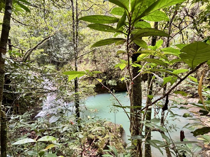 Hiking trail to Cunca Plias Waterfall during a Flores road trip