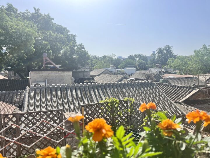 Hutong Tour Things to do in Beijing City Trip Beijing China
