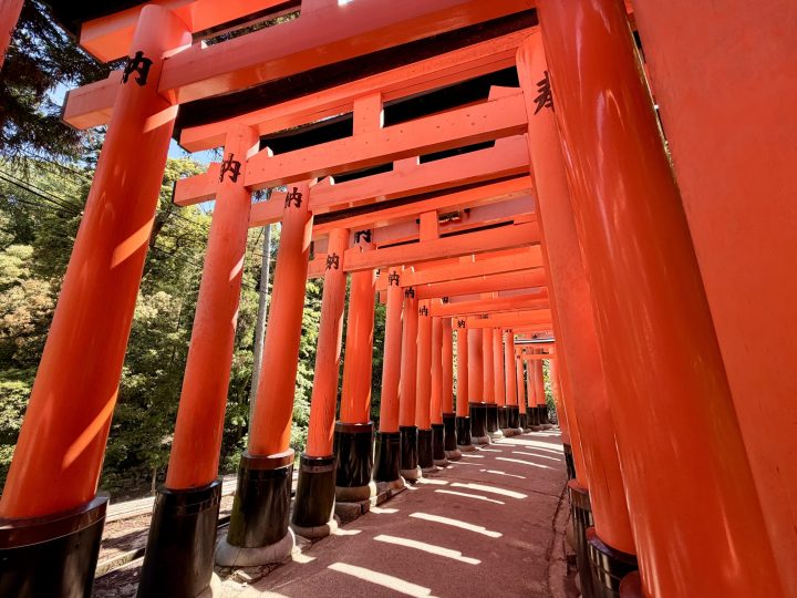 Japan Shrine Country Japan travel Blog