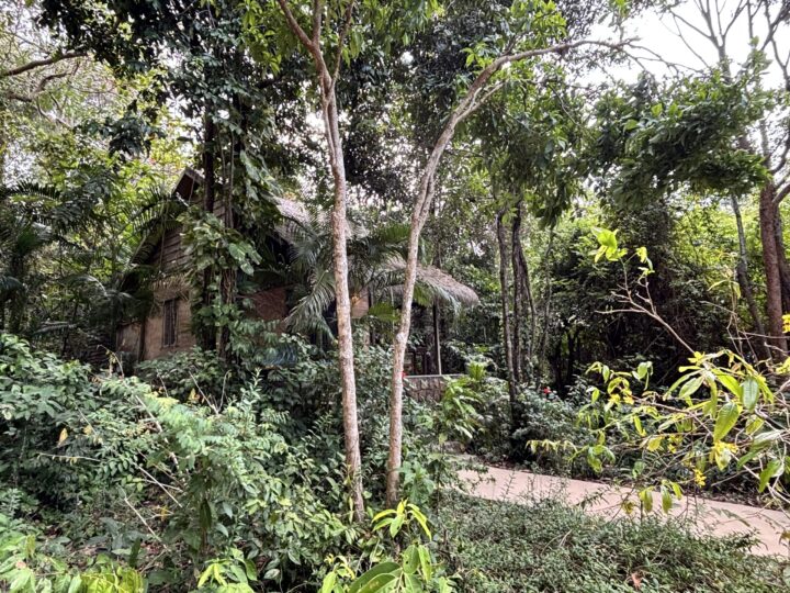 Jungle Cabin Mango Bay Travel Blog Phu Quoc Vietnam Asia