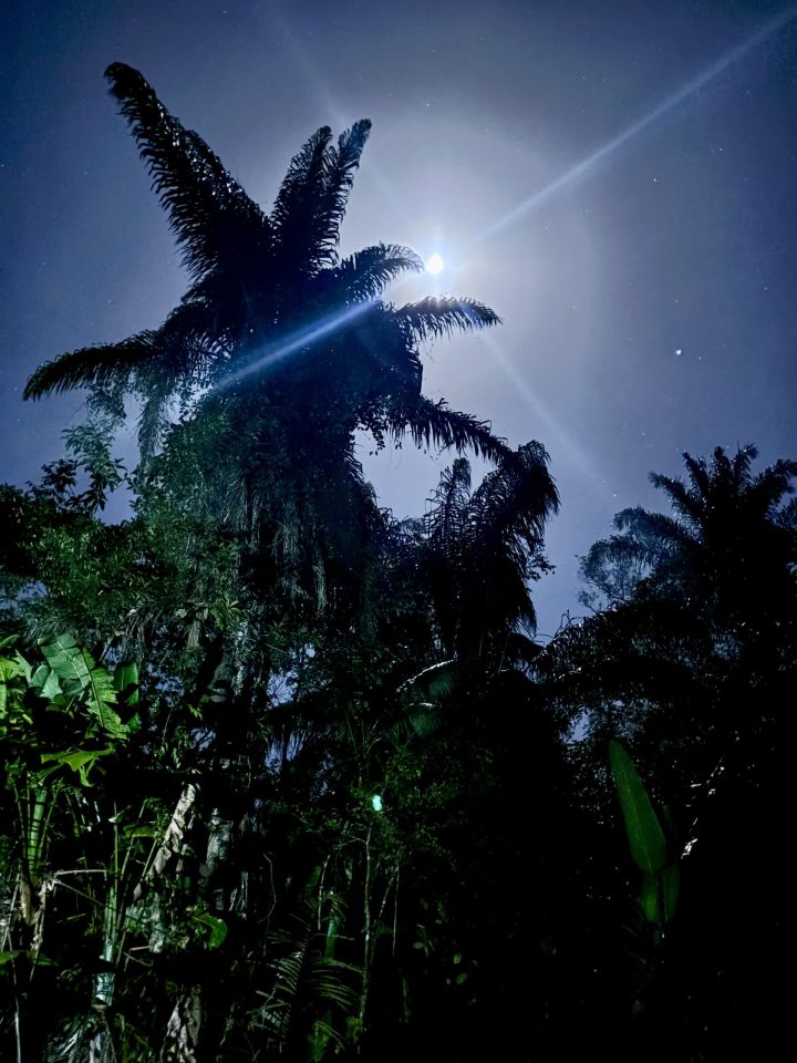 Full moon above the rainforest at Seliba Suriname