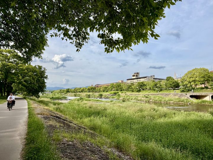 Kamo River in Kyoto Japan