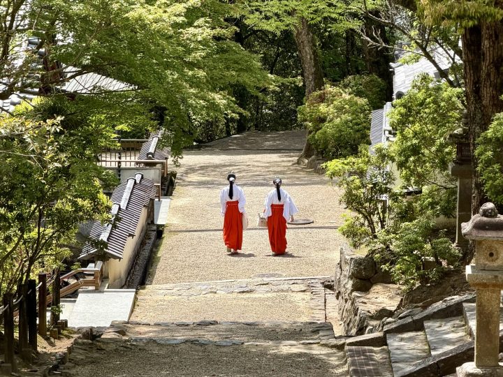 Two women walking near Kasuga Taisha Shrine in Nara