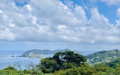 Things to do in Tobago: beaches, waterfalls and local tips