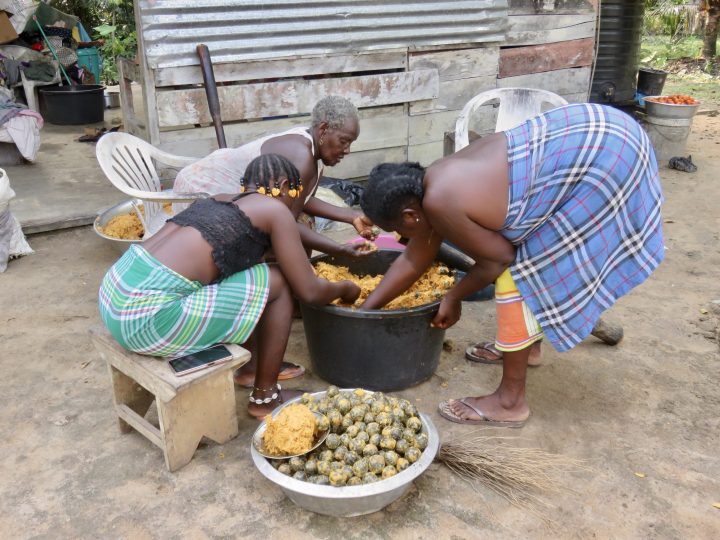 Local life Knini Paati Tour Suriname