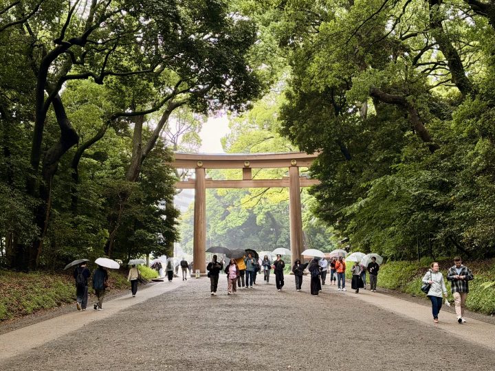 Wide forest path leading to Meiji Shrine in Tokyo