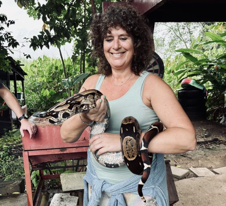Holding a boa constrictor at Sutopia Suriname