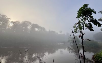 Knini Paati Suriname: Jungle Lodge on the Upper Suriname River