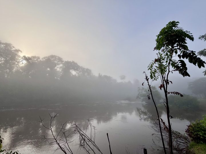 Morning mist at Knini Paati Morning mist on the Upper Suriname River