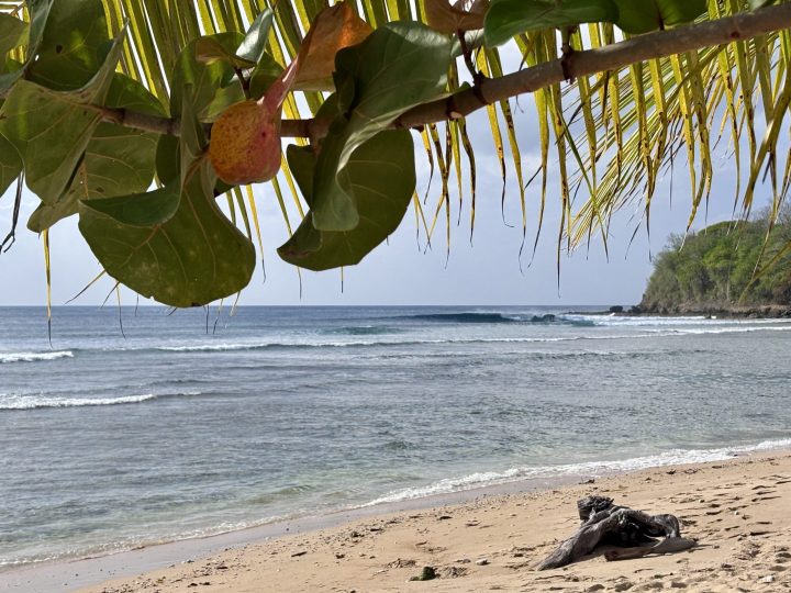 Waves at Mount Irvine surf spot in Tobago