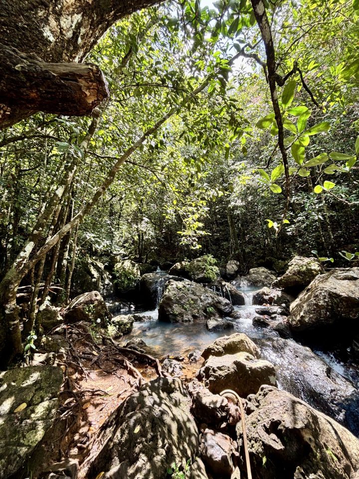 Muddy hiking path to Cunca Plias Waterfall in Flores