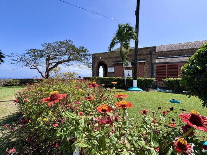 Tobago Museum at Fort King George