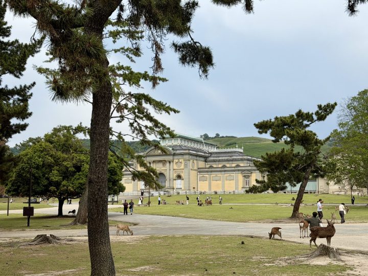 Nara National Museum area with green hills in the background