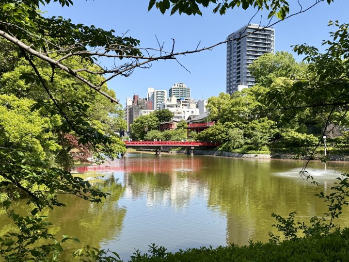 Red bridge view in Tennoji Park Osaka