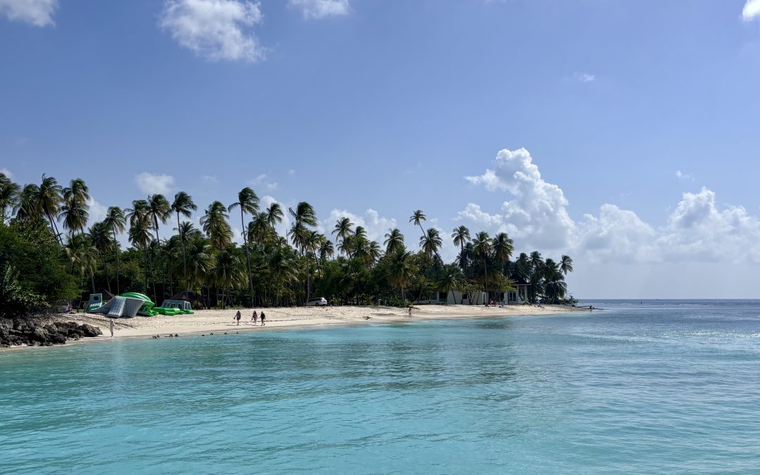 Crown Point and Pigeon Point: the perfect start and end to your Tobago trip