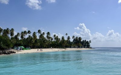 Crown Point and Pigeon Point: the perfect start and end to your Tobago trip