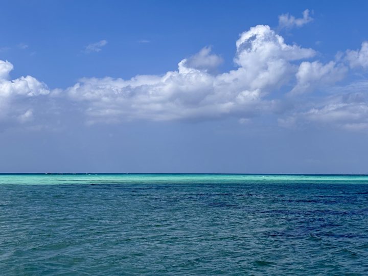 Turquoise water at Pigeon Point Tobago