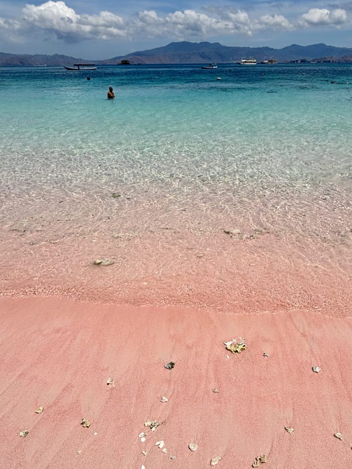 Pink Beach in Komodo National Park Flores Indonesia