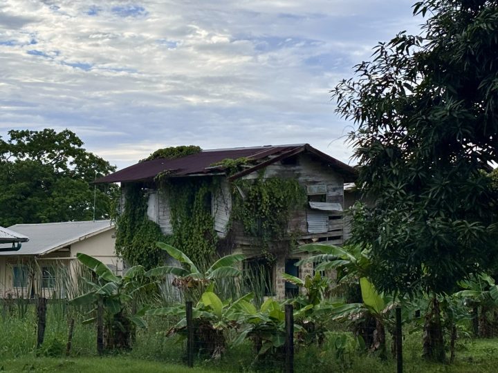 Plantation Rust en Werk near Paramaribo, a former coffee and cocoa plantation in Suriname