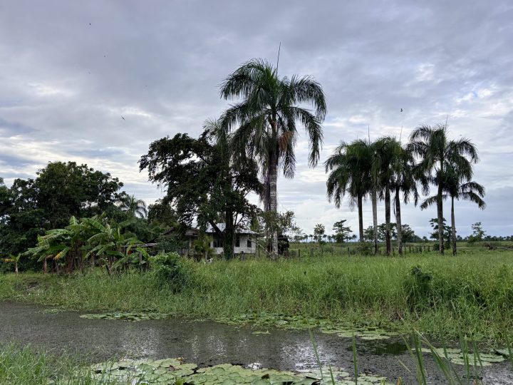 Plantation Rust en Werk near Paramaribo, a former coffee and cocoa plantation in Suriname